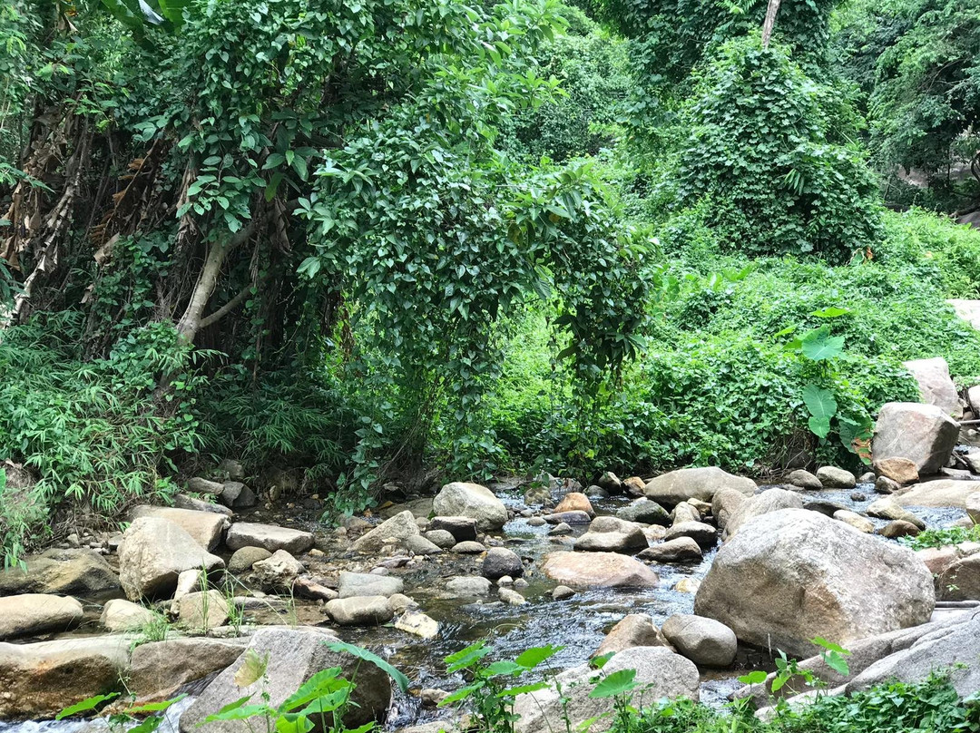 Kao Chon Waterfall景点图片