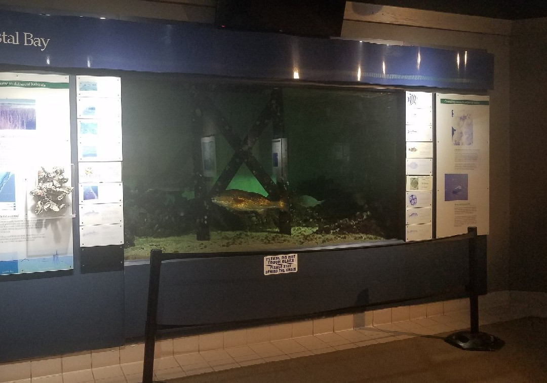 Sea Center Texas-Lake Jackson必去景点