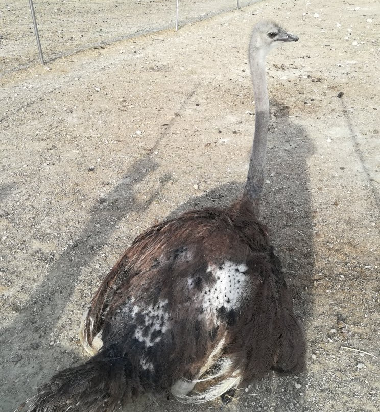 La Ferme Coudert-Vallerargues必去景点