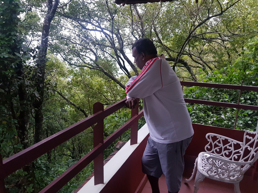 Blackberry Hills Munnar Nature Resort & Spa主图