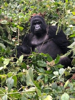 Sandfield Travel-坎帕拉必去景点