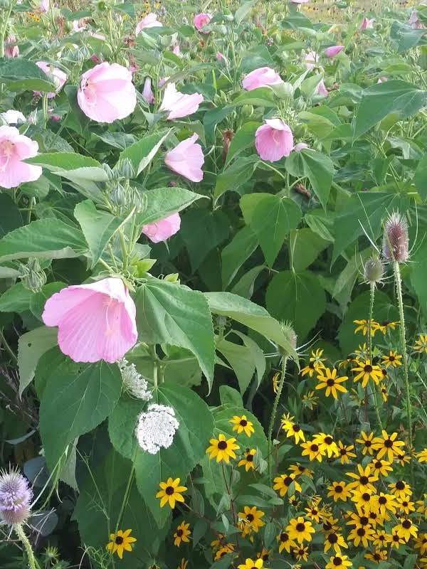 Caesar Creek State Park-Waynesville必去景点