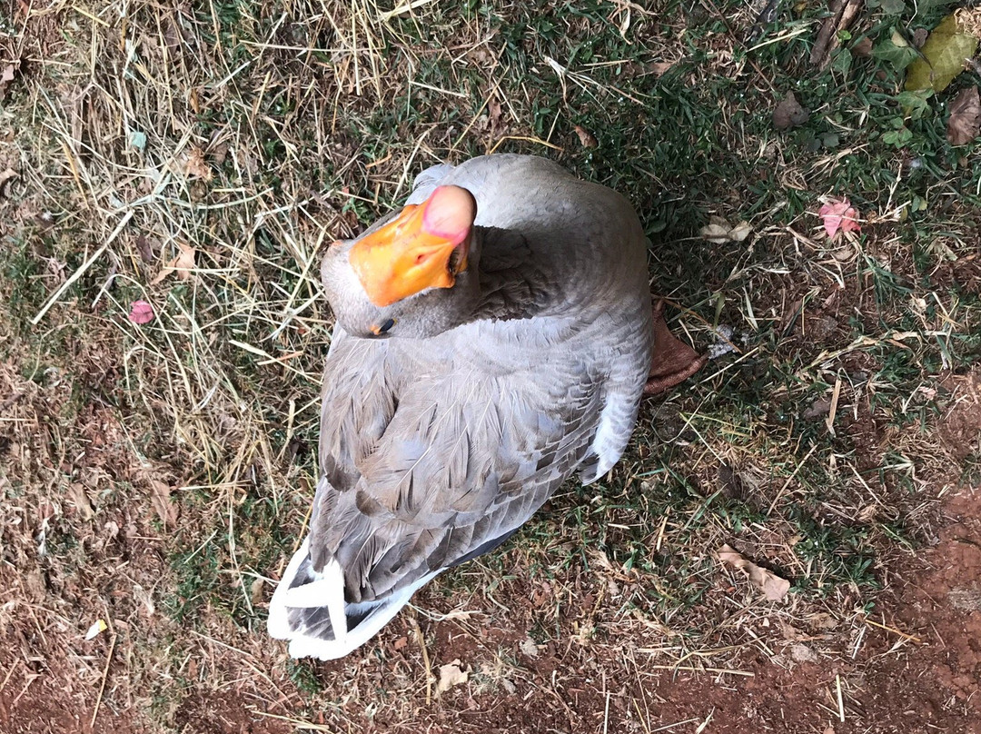 One Off Contemporary Art Gallery-内罗毕必去景点