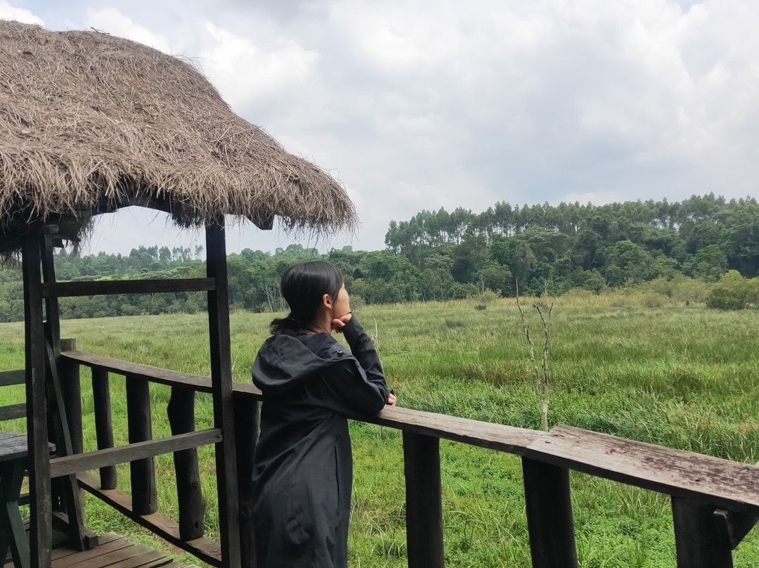 Saiwa Swamp National Park-Kitale必去景点