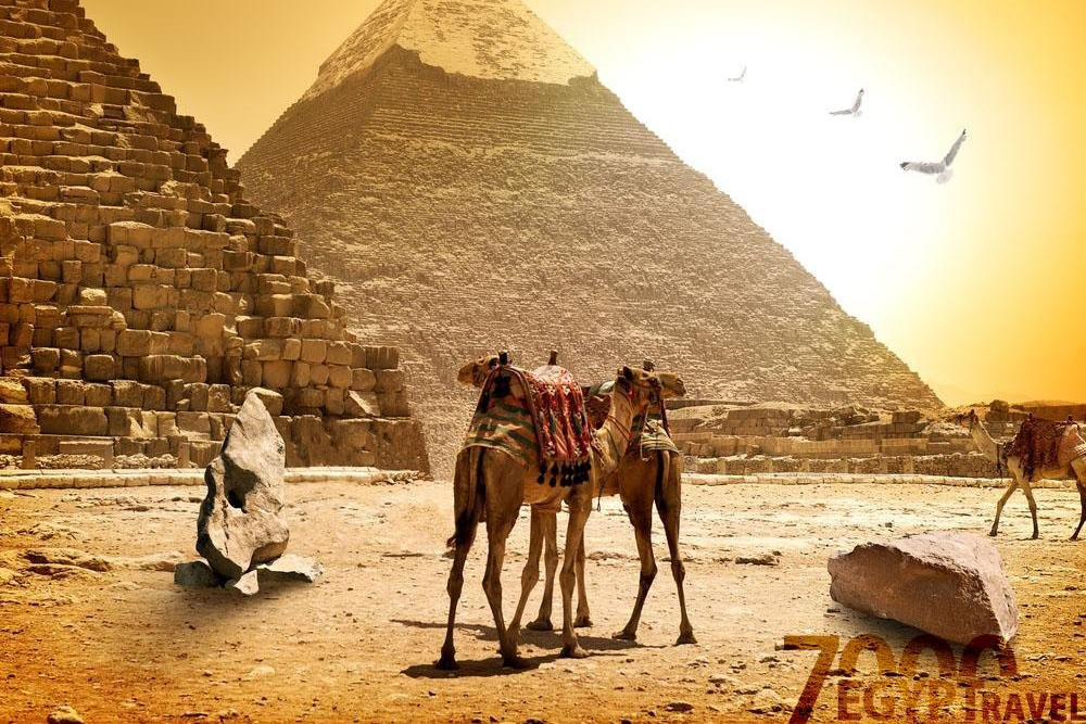 Egypt 7000 Travel-吉萨必去景点
