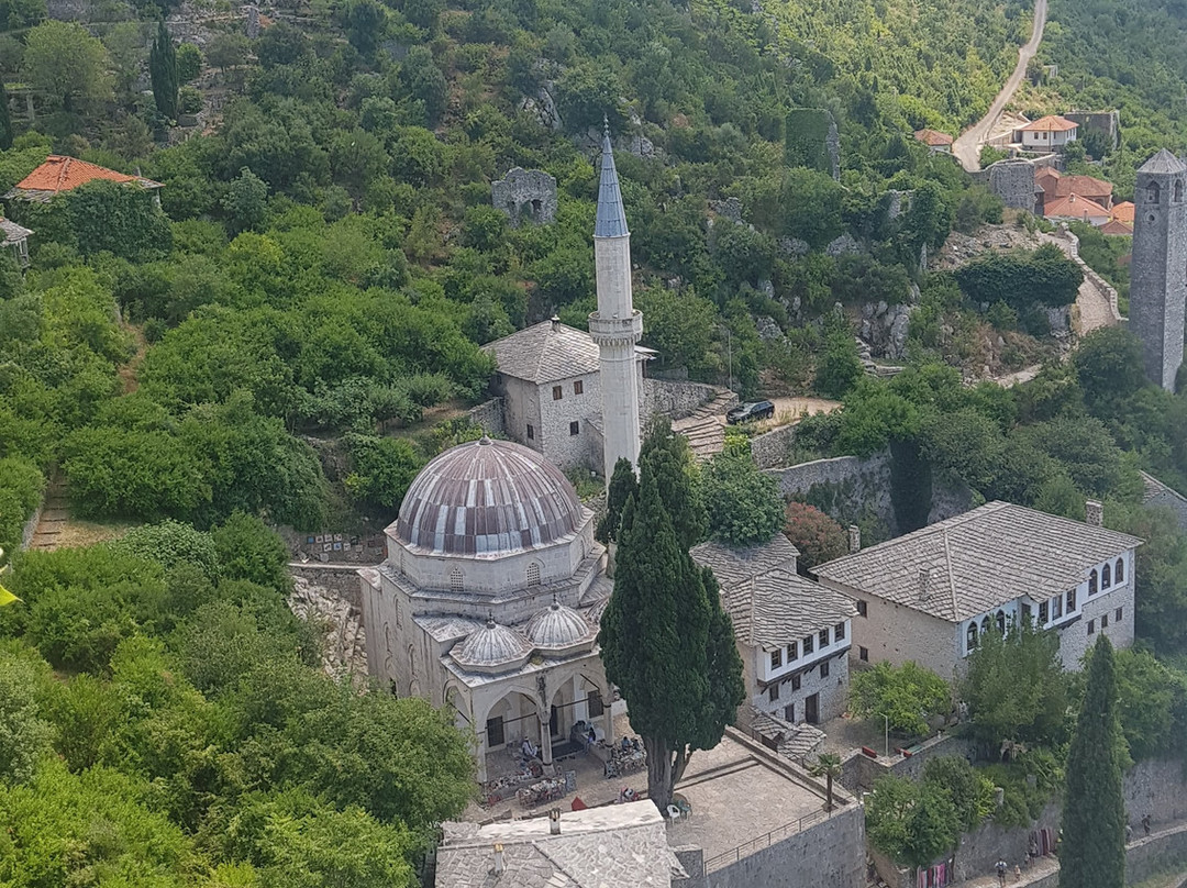 Guest House ADI主图