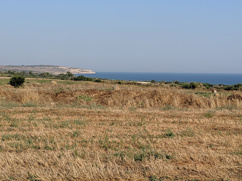 Larnaca Pro Cycle Hire景点图片