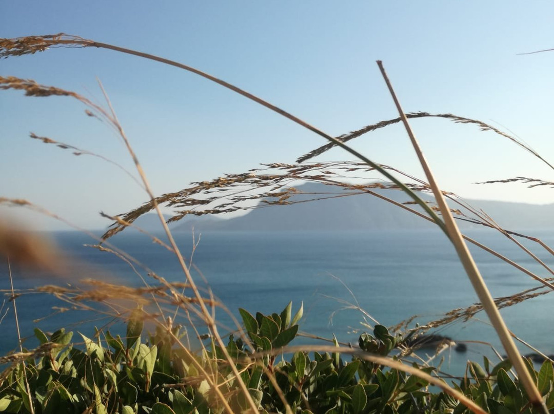 Fourtounis Hotel主图