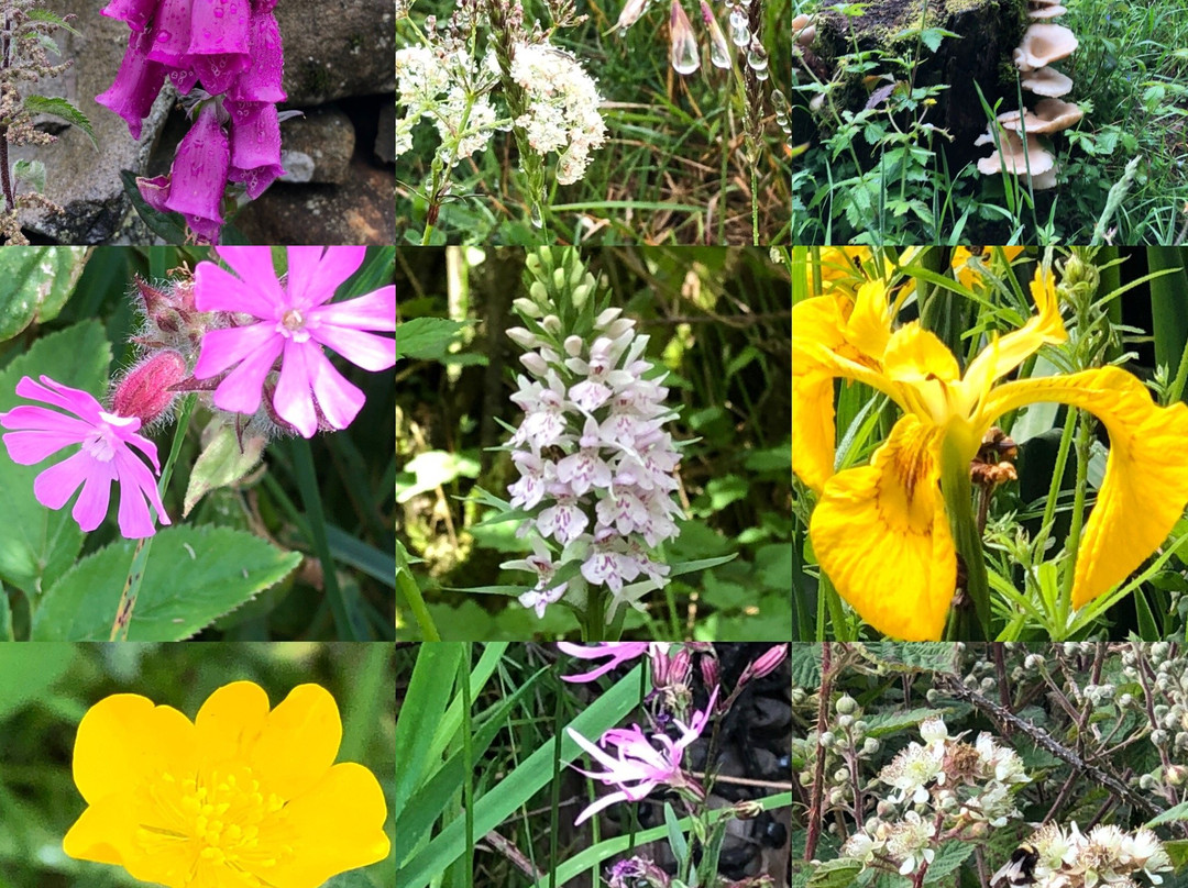 Big Round World-Lyons必去景点