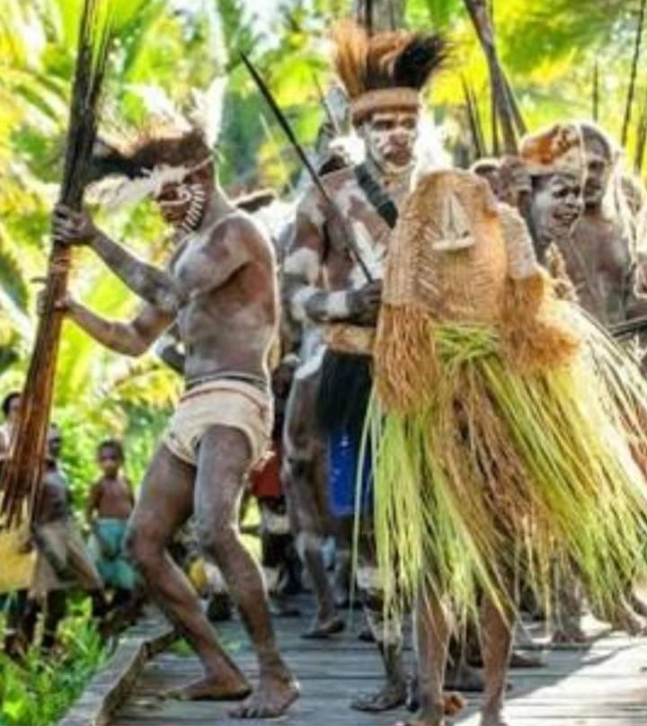 Papua Wonderland景点图片