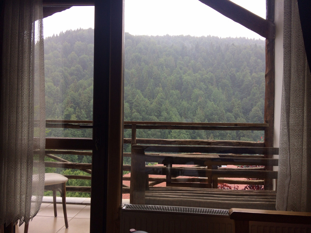 Abant Gokdere Kartal Yuvasi Hotel主图