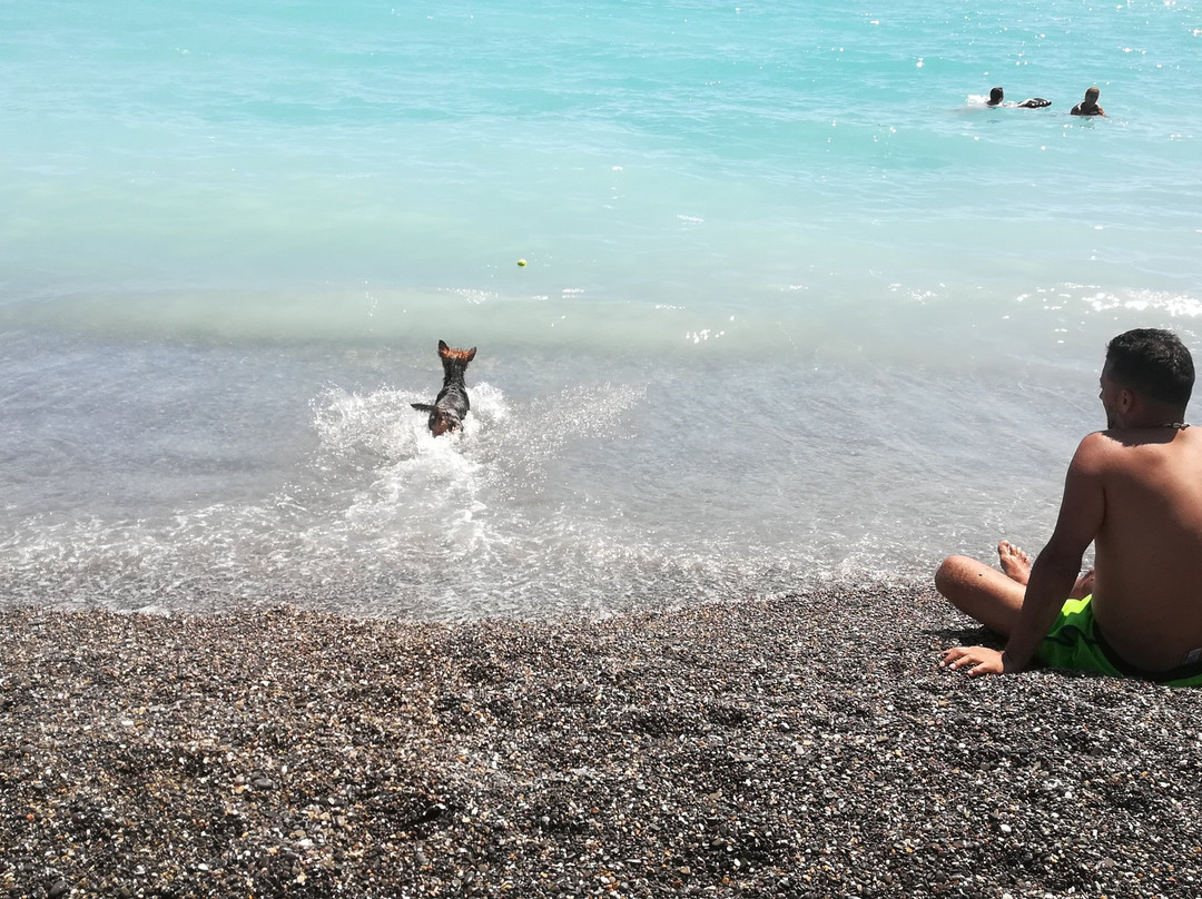 Spiaggia dei Cani景点图片