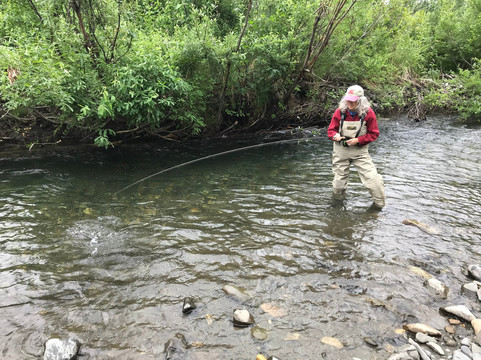 Talkeetna 4x4 Adventures-塔尔基特纳必去景点