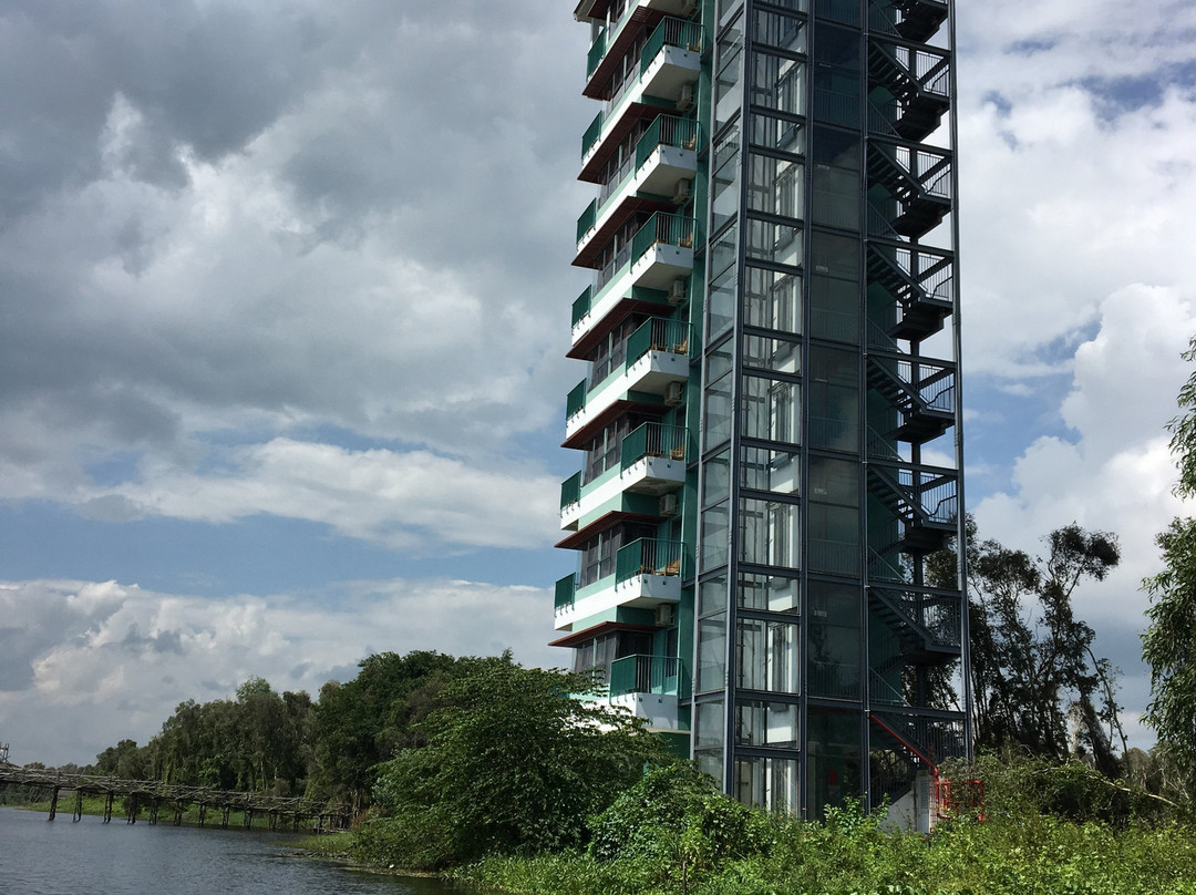 Lang Noi Tan Lap-Long An Province必去景点