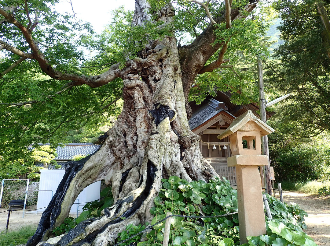 Inochinushi no Yashiro景点图片
