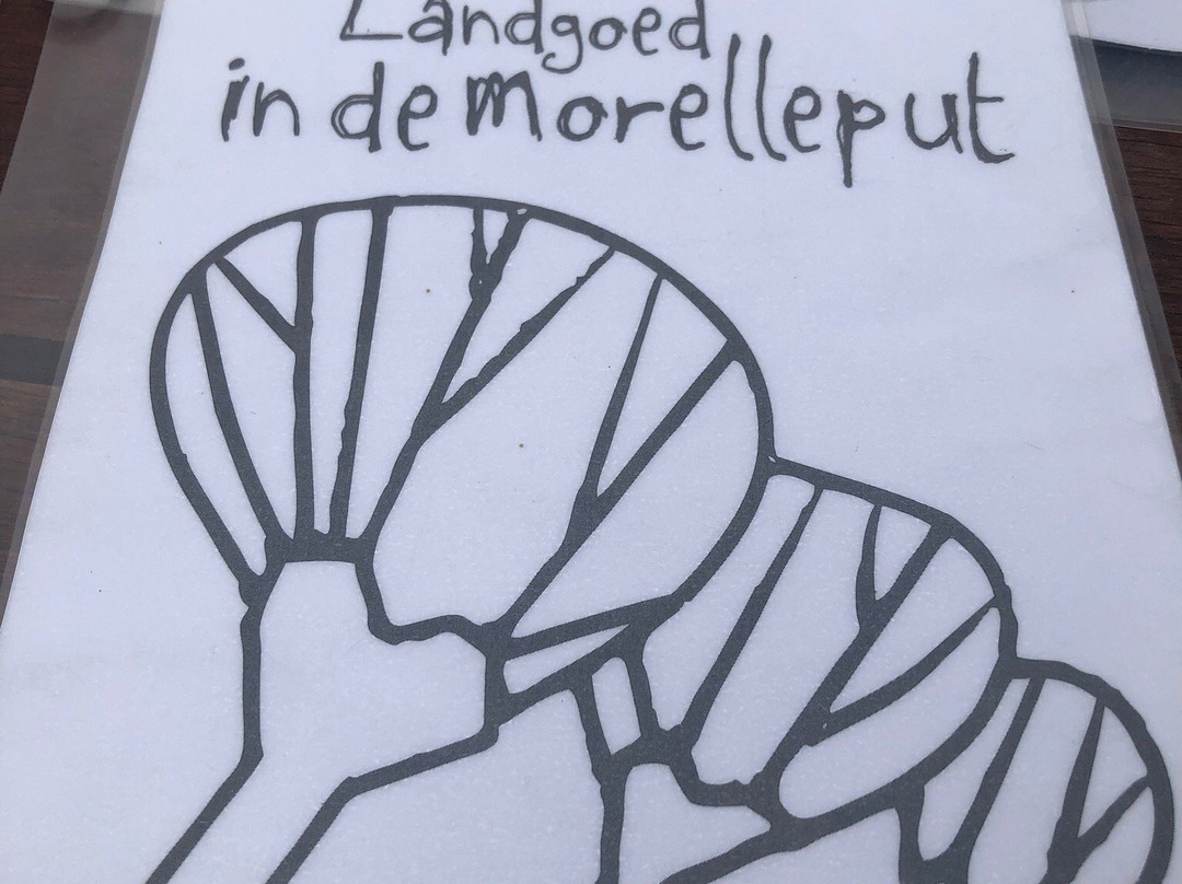 In de Morelleput主图