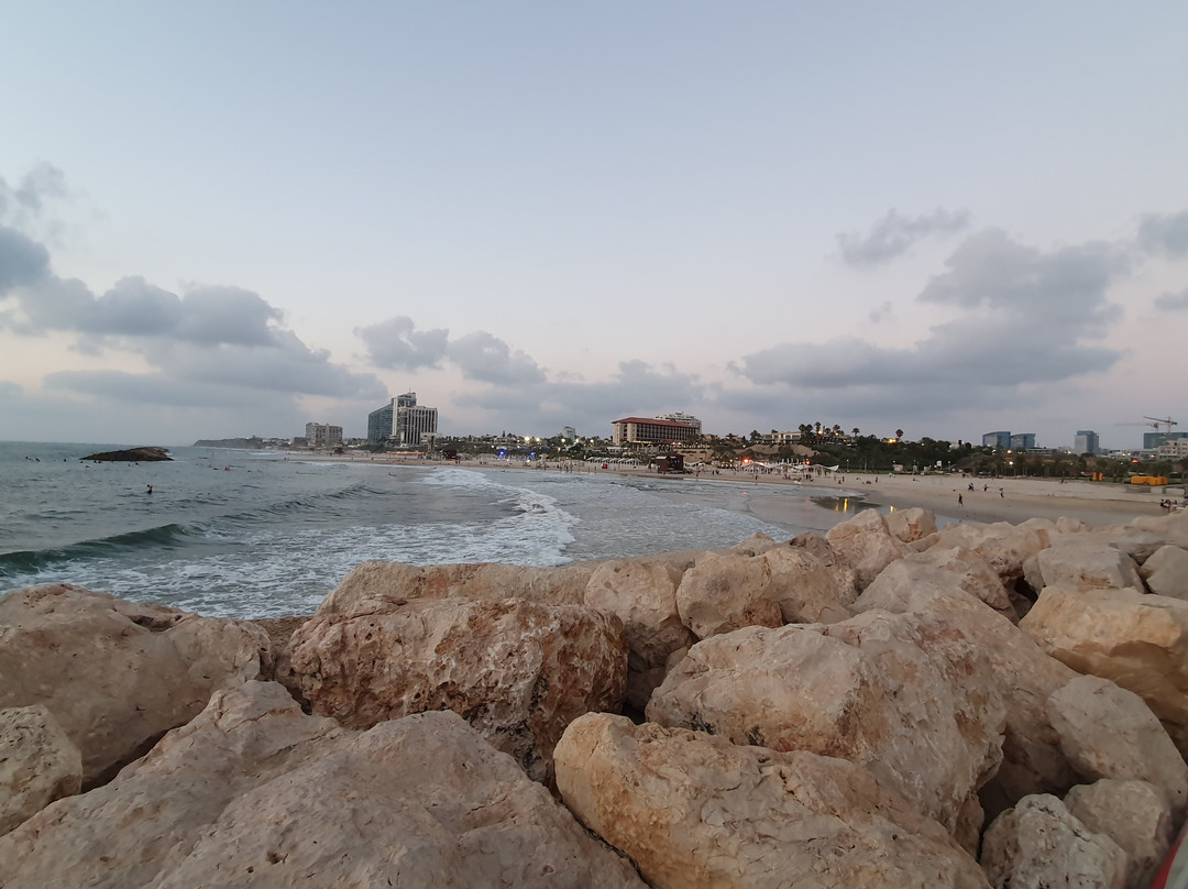 Acadia Beach-荷兹利亚必去景点