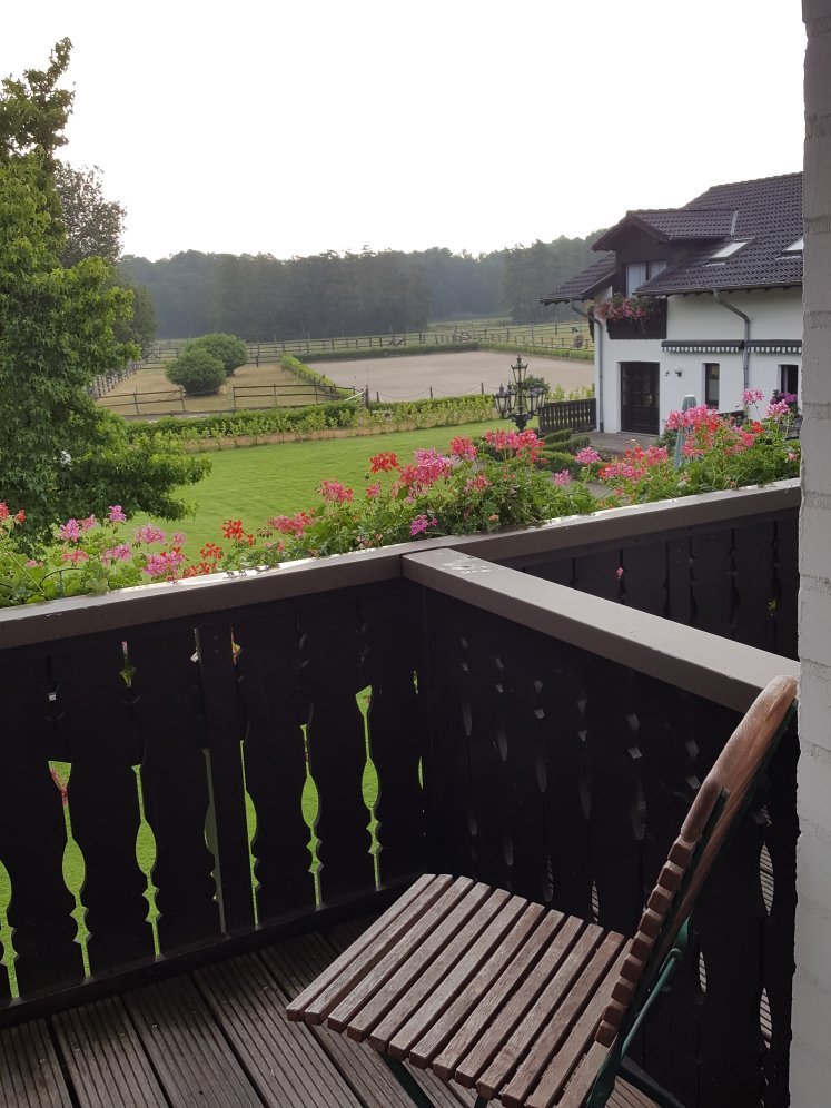 Landhotel Linden Am Venekotensee-官方