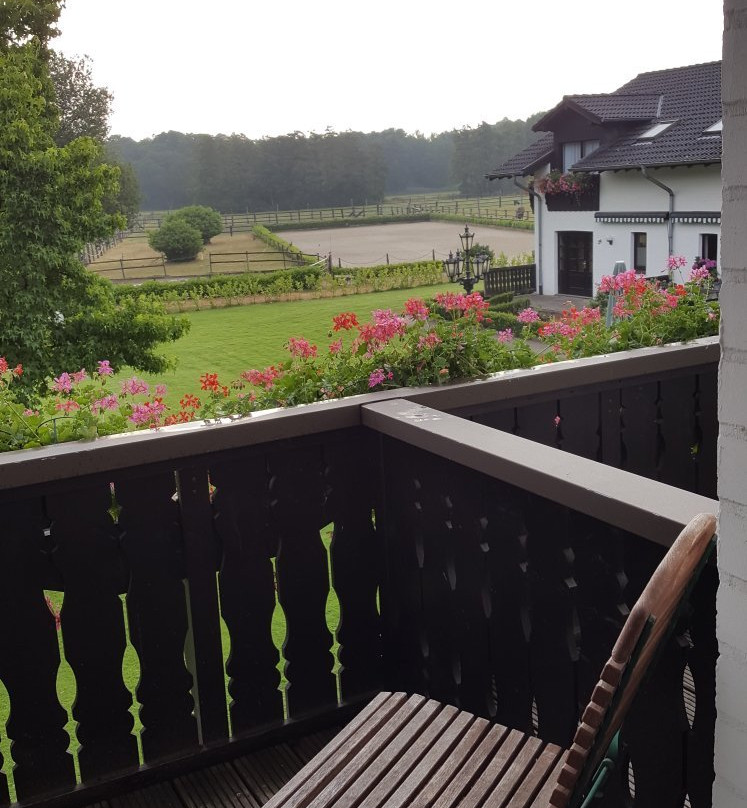 Landhotel Linden Am Venekotensee主图