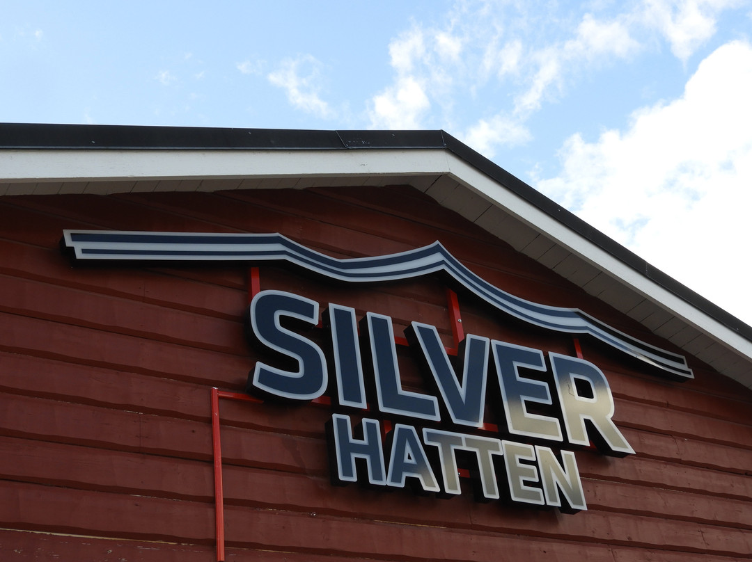 Hotel Silverhatten主图