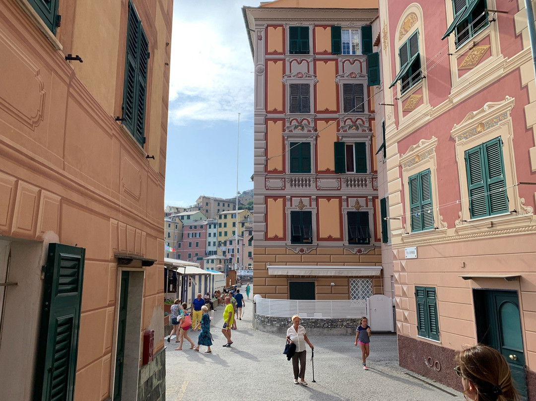 Villa Solaria主图