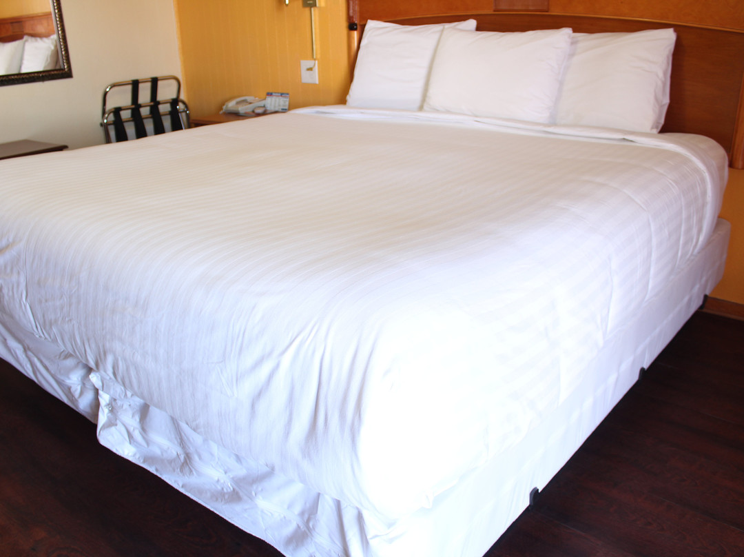 Thunderbird Lodge Motel主图