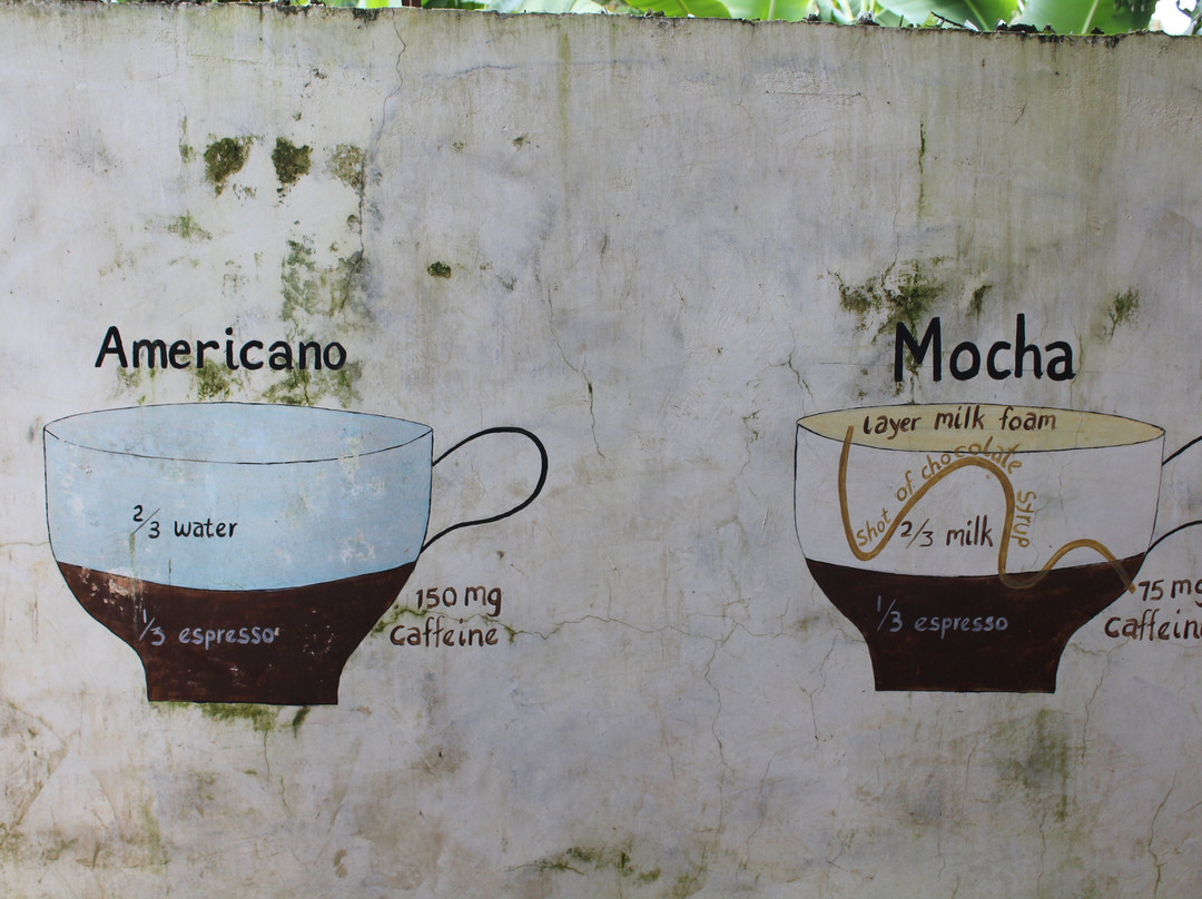 Wild Tracks/Kahawa - Coffee Walks-Usa River必去景点