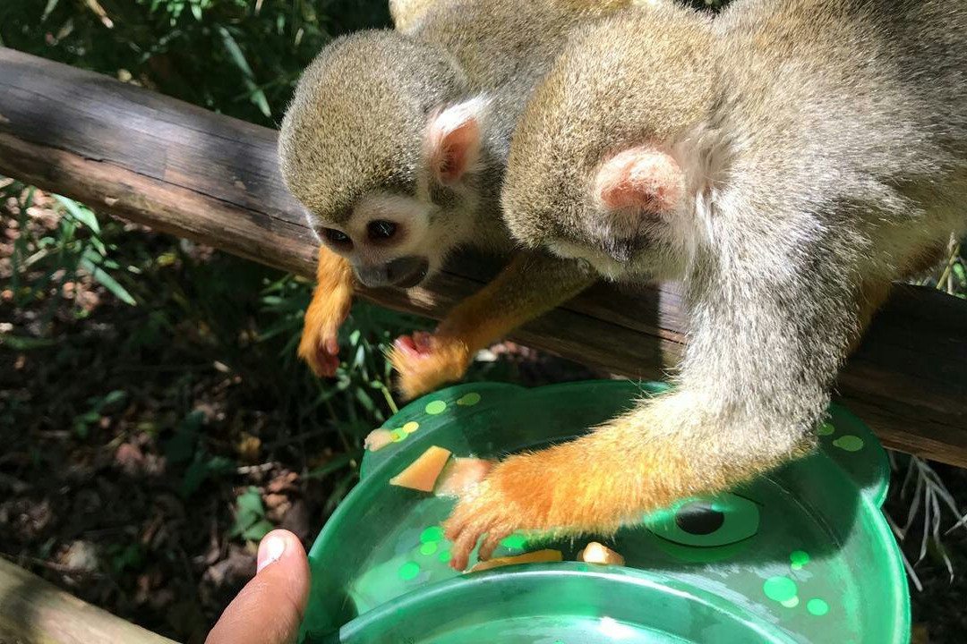 Delgado Taxi Tours-苏莎亚必去景点