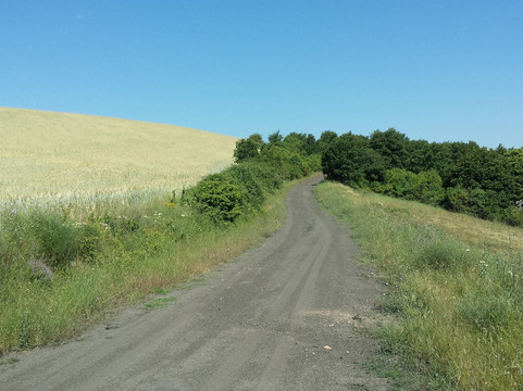 sarantis bachtsevanis-塞萨洛尼基必去景点