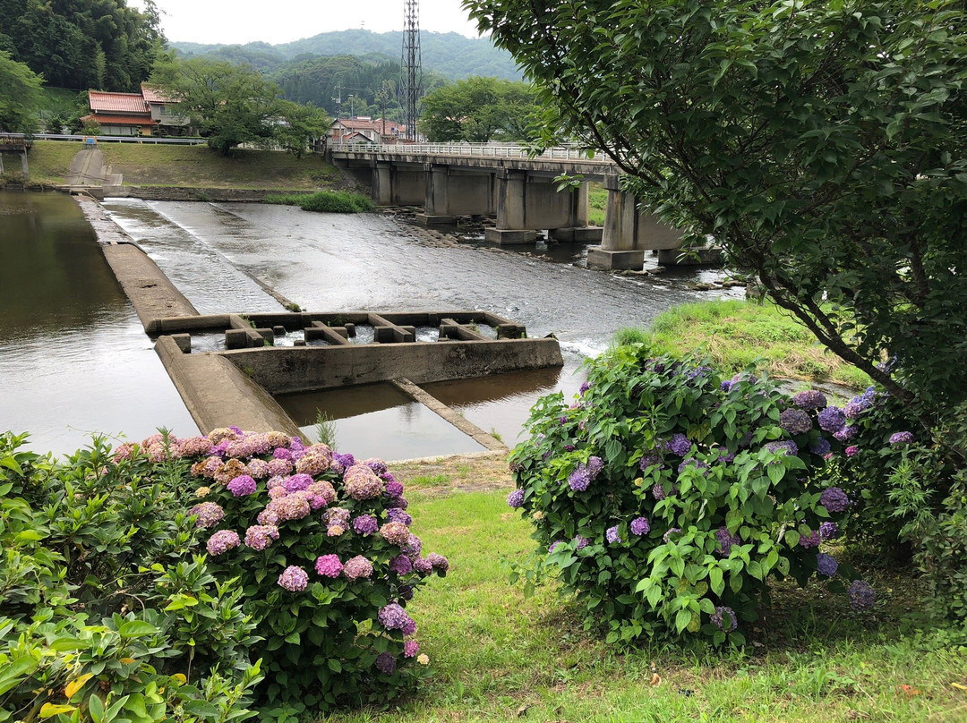 Mitoyagawa Kasenjiki Park-云南市必去景点