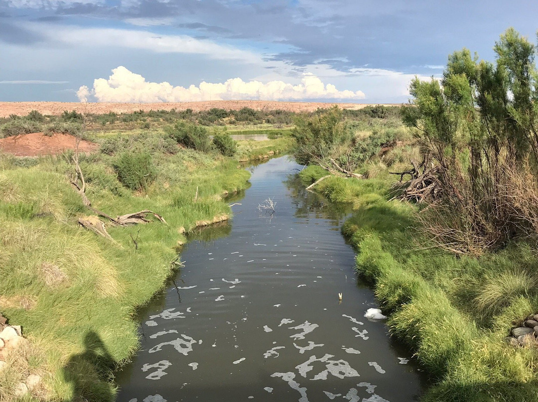 Bitter Lake National Wildlife Refuge-罗斯威尔必去景点