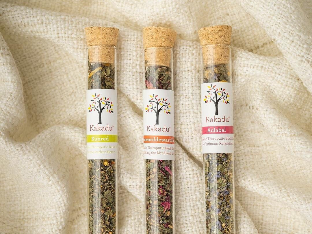 Dingo Dreaming-Blyth必去景点