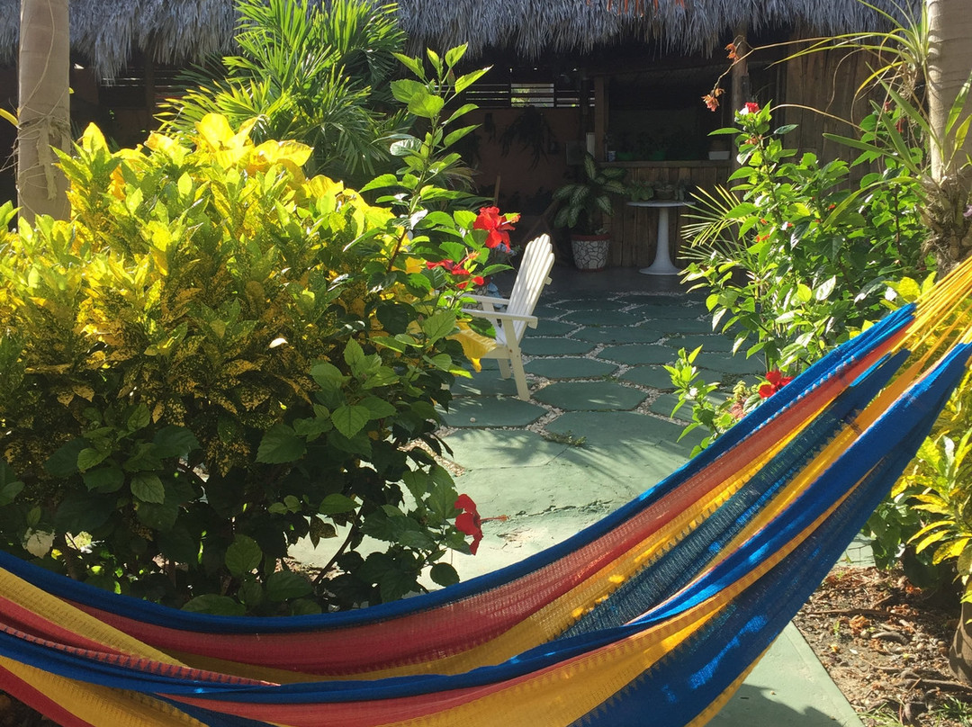 Hostal El Castillito主图