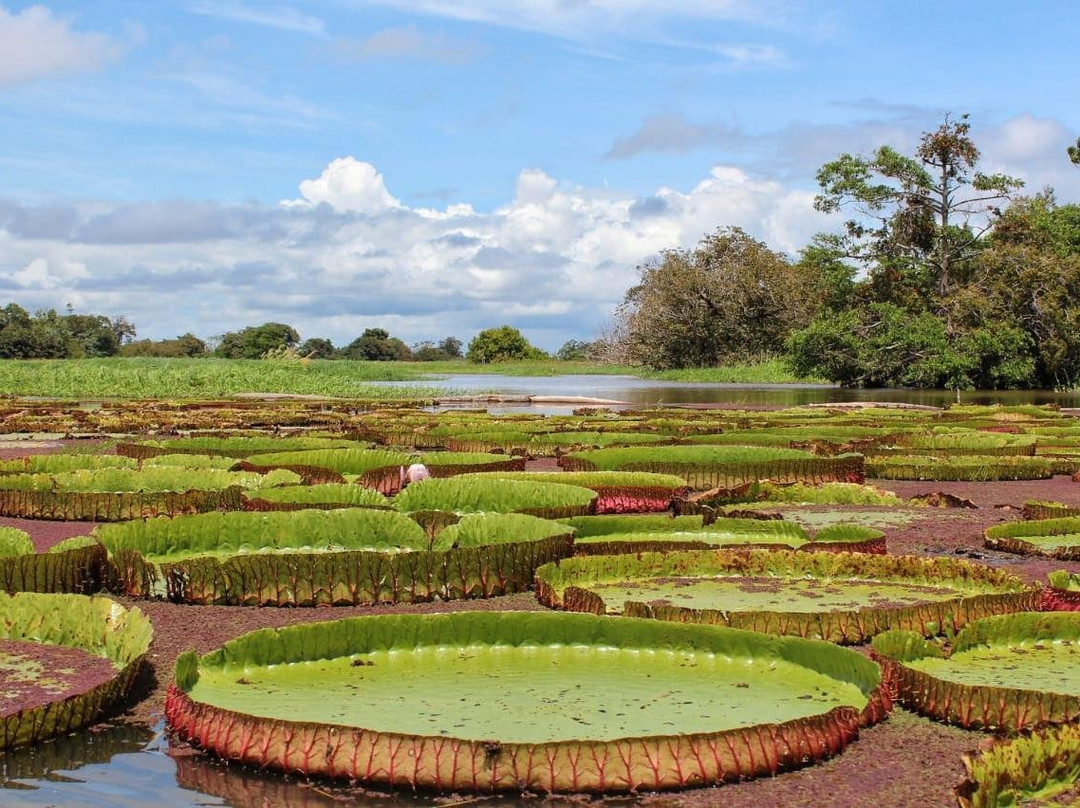 Alter Beach Turismo-Alter do Chao必去景点
