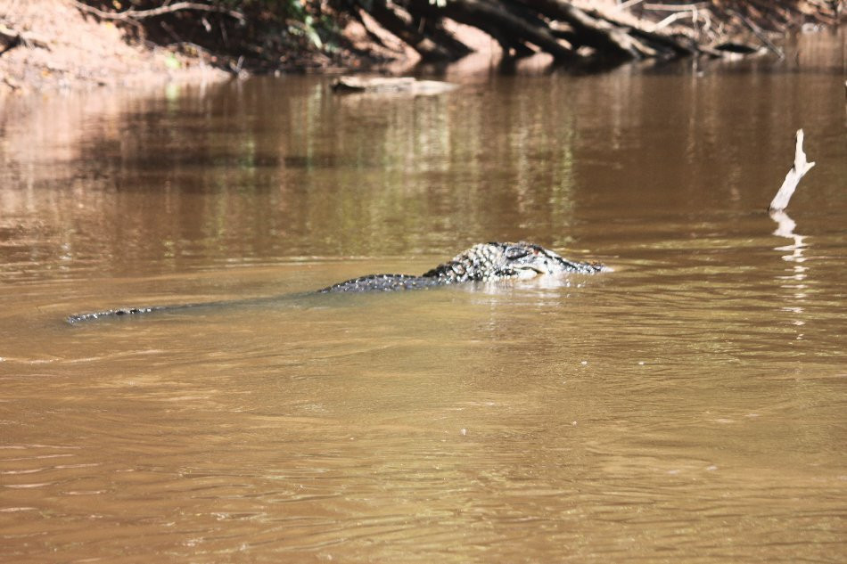 Winston Jungle Tours-Yurimaguas必去景点