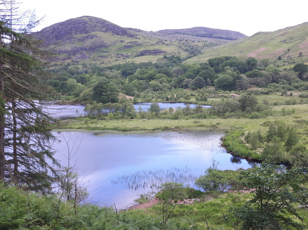 Loch Trool-Galloway Forest Park必去景点