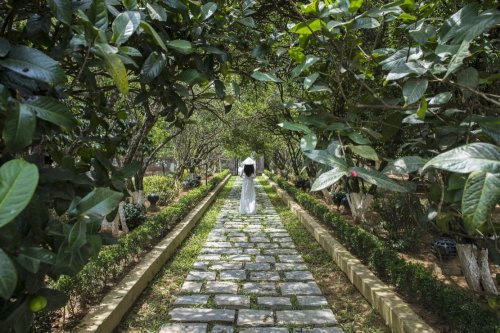 An Hien Garden House景点图片