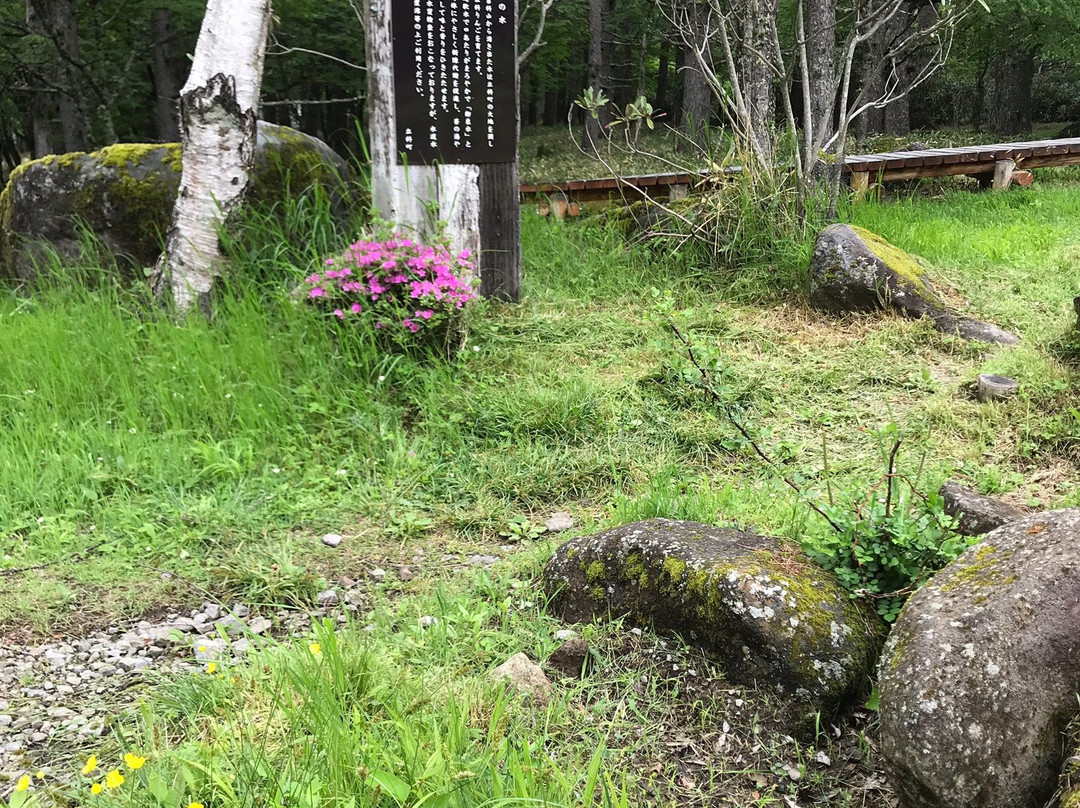 Tateshina Gosensui Nature Park景点图片
