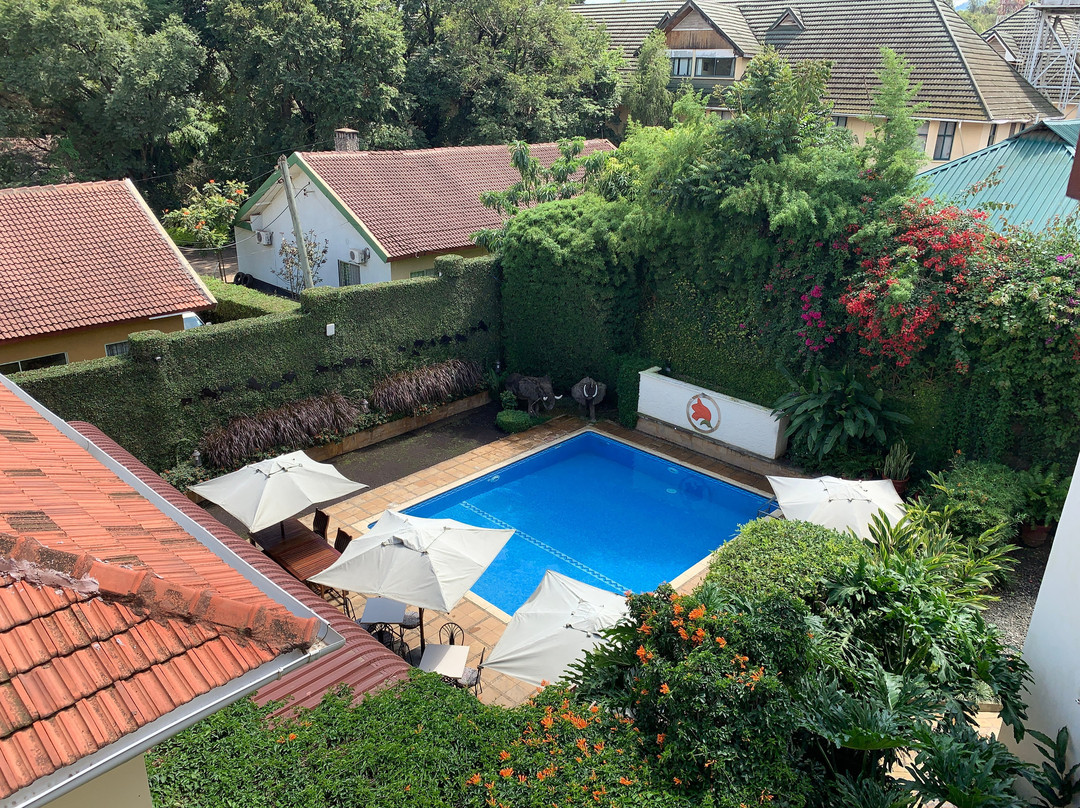 非洲郁金香宾馆主图