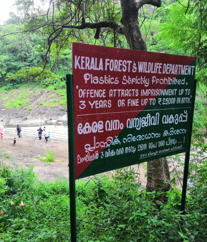 Kozhippara Falls-科泽科德必去景点