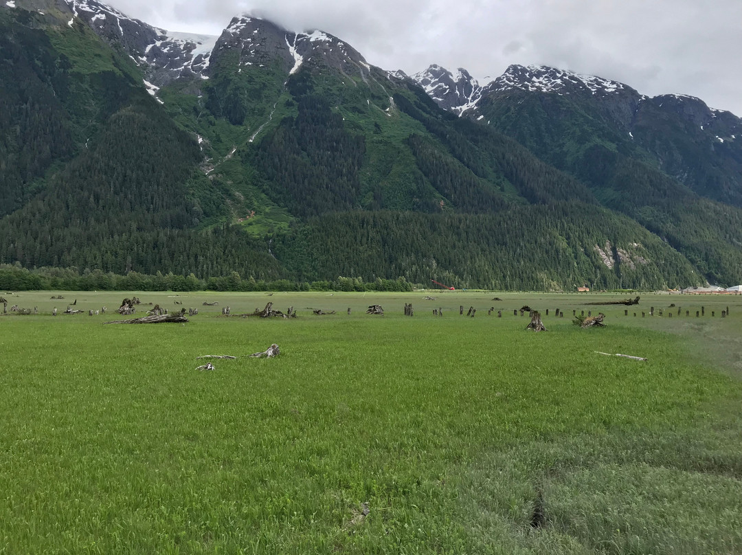 Estuary Boardwalk-Stewart必去景点