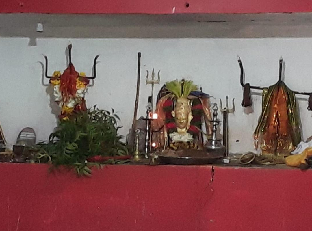 NILAVELI BLUE DIVING CENTRE-尼拉瓦利必去景点