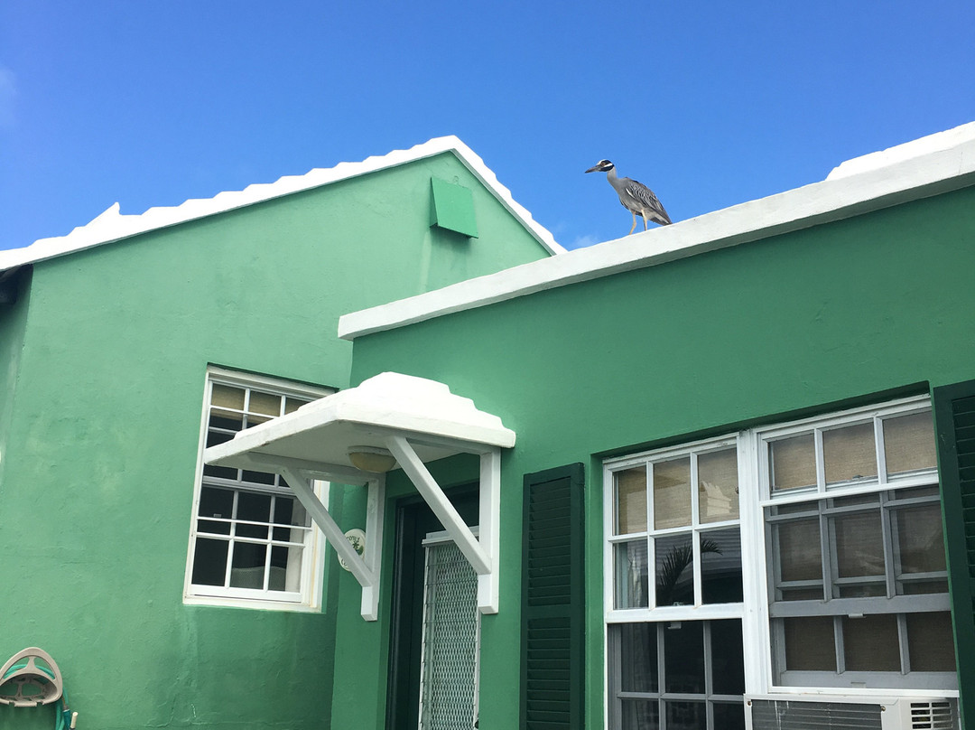 Greenbank Guest House And Cottages主图