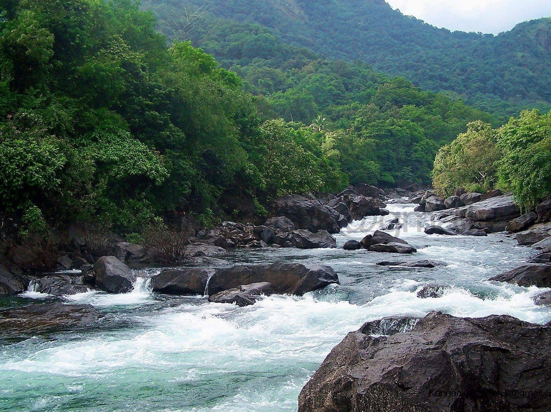 Palakkad District旅游攻略图片