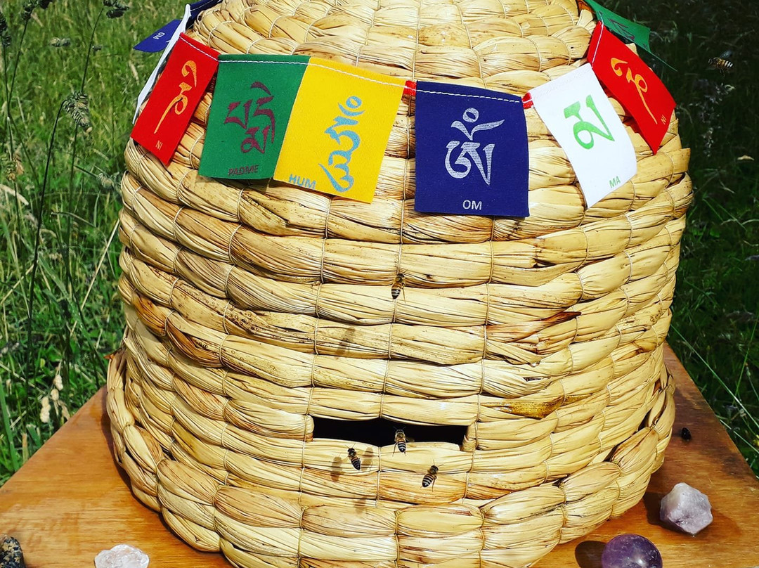 Bee Farm Shunku-Machachi必去景点