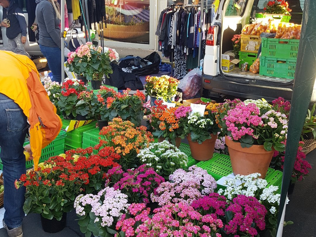 Takapuna Markets景点图片