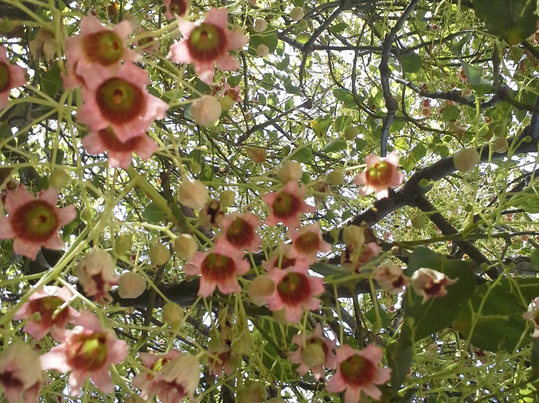 GEO Bicycling and More-Dassia必去景点