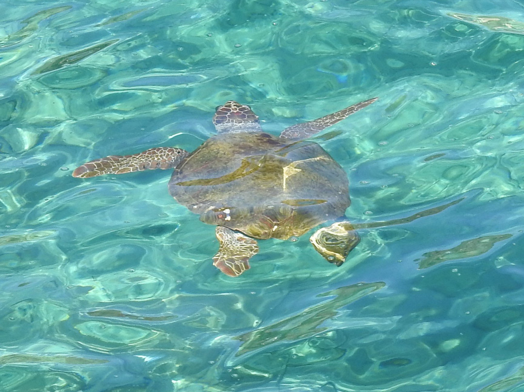 Mavromichalai Hotel主图