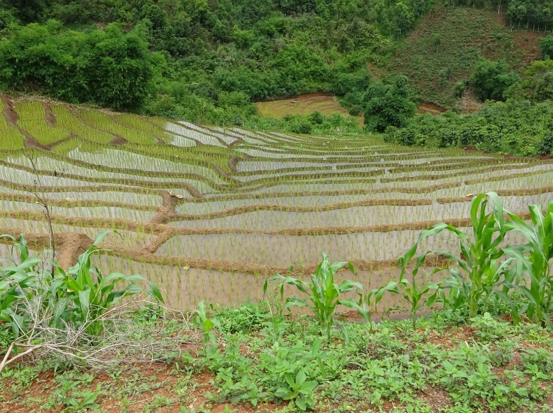 会安摩托车冒险景点图片