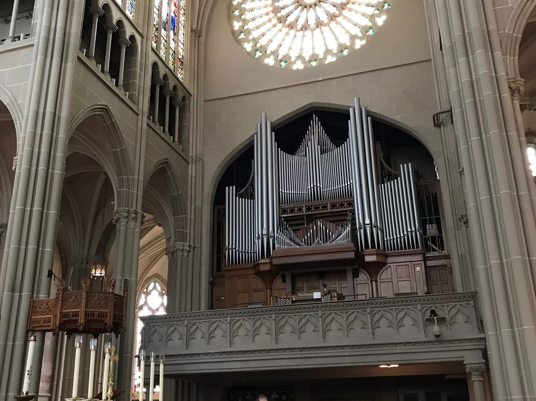 Cathedral Basilica of the Assumption-辛辛那提必去景点